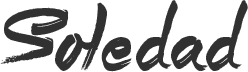 theverge.pk